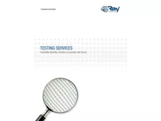 Raybiztech Testing Services