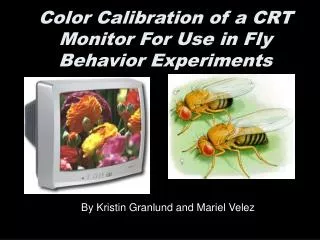 Color Calibration of a CRT Monitor For Use in Fly Behavior Experiments