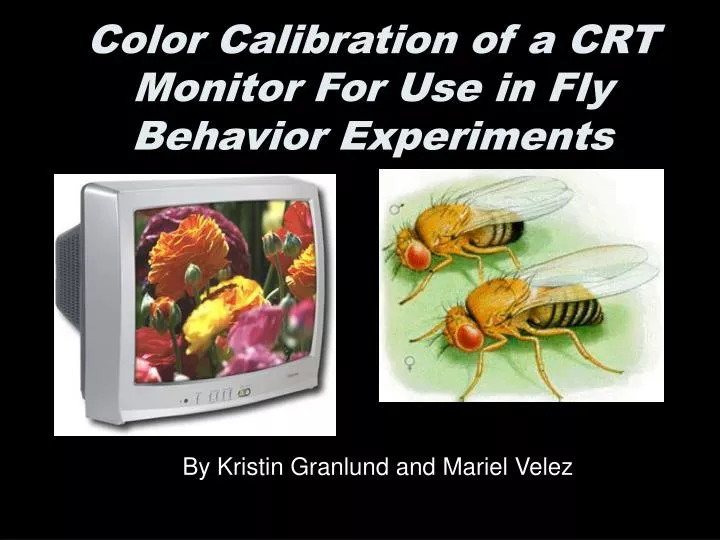 color calibration of a crt monitor for use in fly behavior experiments