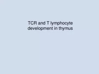 TCR and T lymphocyte development in thymus