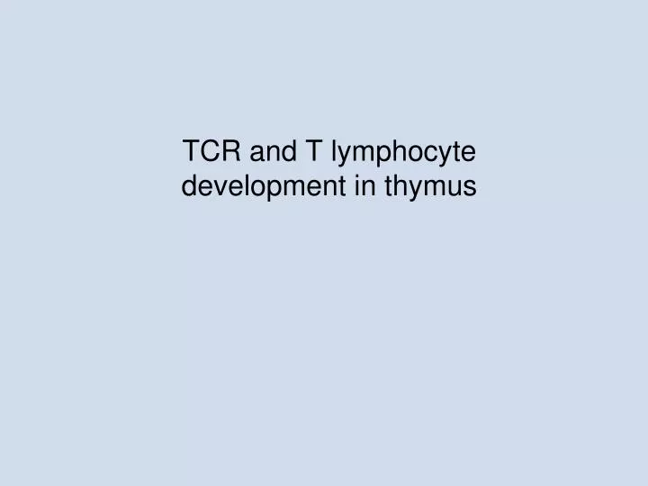 tcr and t lymphocyte development in thymus