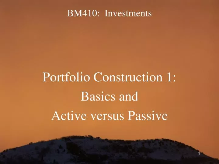 bm410 investments