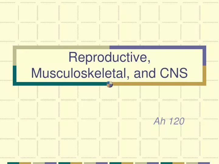 reproductive musculoskeletal and cns