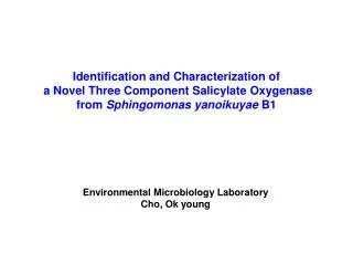 Identification and Characterization of a Novel Three Component Salicylate Oxygenase from Sphingomonas yanoikuyae B1