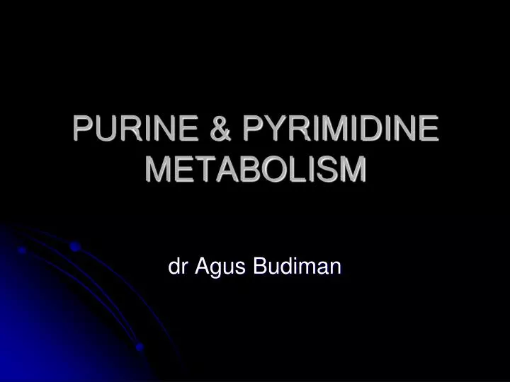 purine pyrimidine metabolism