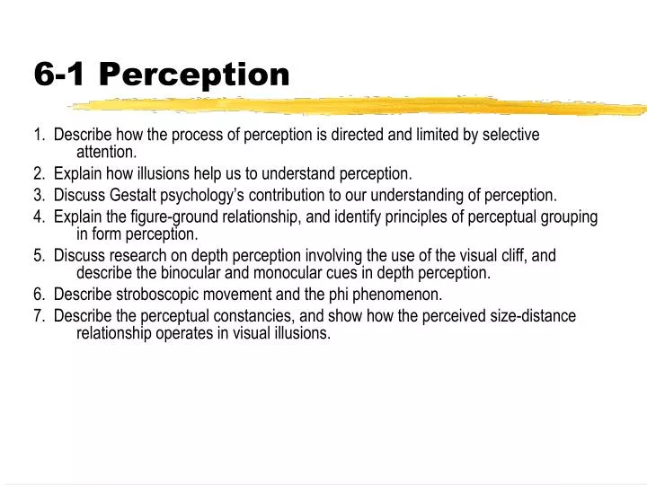6 1 perception