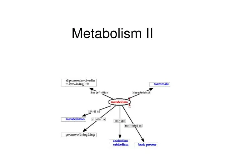 metabolism ii