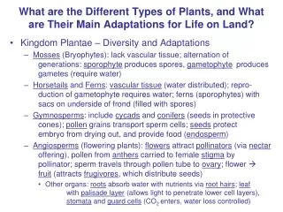 What are the Different Types of Plants, and What are Their Main Adaptations for Life on Land?