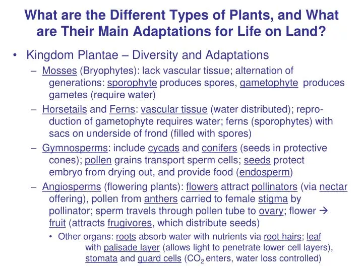what are the different types of plants and what are their main adaptations for life on land