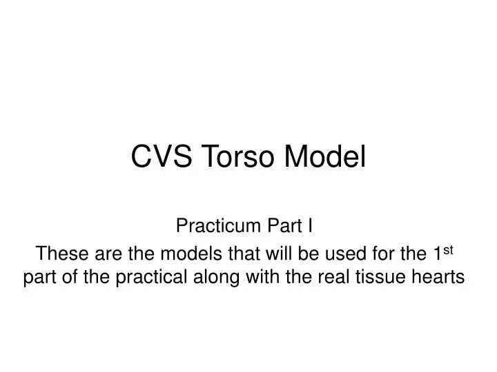 cvs torso model