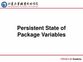 Persistent State of Package Variables