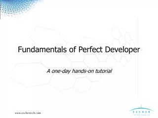 Fundamentals of Perfect Developer