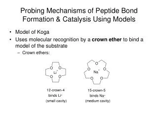 Probing Mechanisms of Peptide Bond Formation &amp; Catalysis Using Models