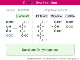 Competitive Inhibition