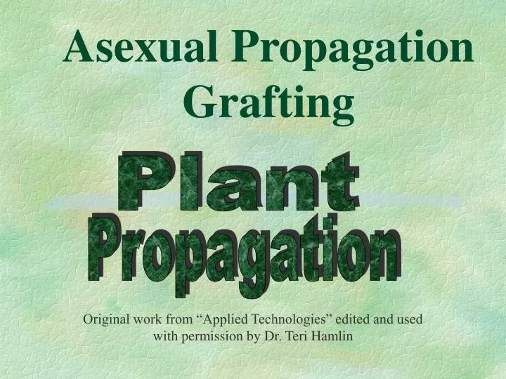 asexual propagation grafting