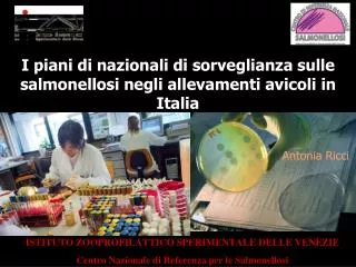 I piani di nazionali di sorveglianza sulle salmonellosi negli allevamenti avicoli in Italia