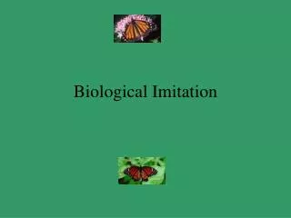 Biological Imitation