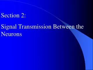 Section 2: Signal Transmission Between the Neurons