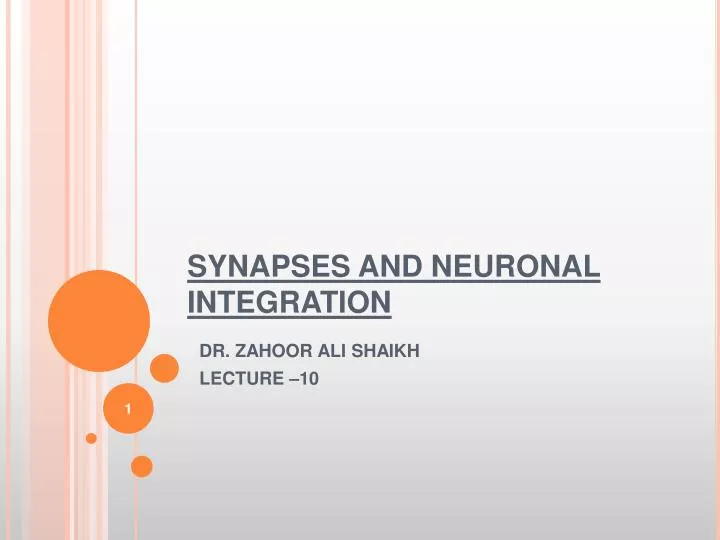 PSY 340 Brain and Behavior Class 08: Chemical Events at the Synapse