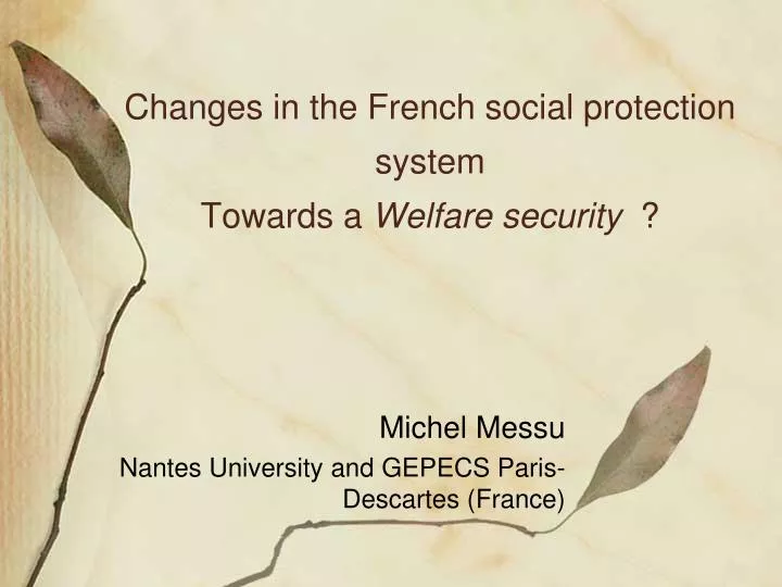 changes in the french social protection system towards a welfare security