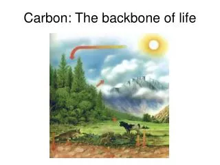Carbon: The backbone of life