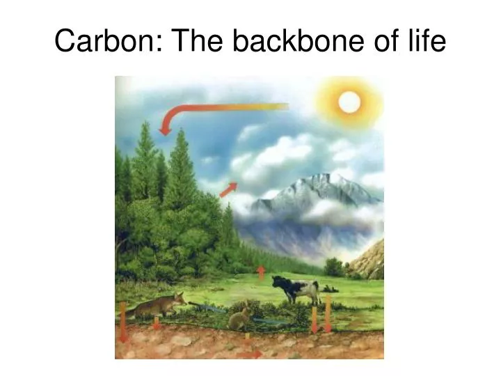 carbon the backbone of life