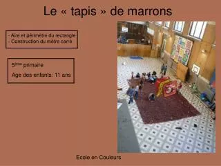 Le « tapis » de marrons