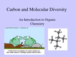 Carbon and Molecular Diversity