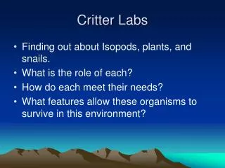 Critter Labs