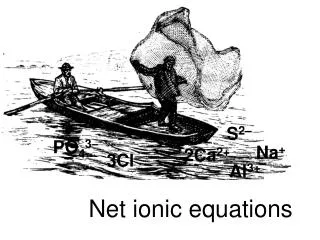 Net ionic equations