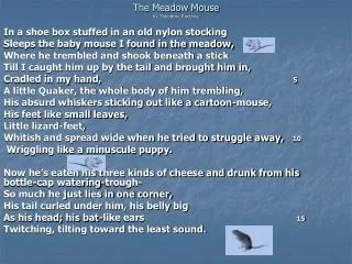 The Meadow Mouse by Theodore Roethke