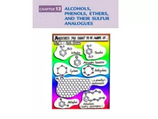 Alcohols contain an –OH group attached to a saturated (sp 3 ) carbon atom.