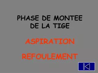 phase de montee de la tige