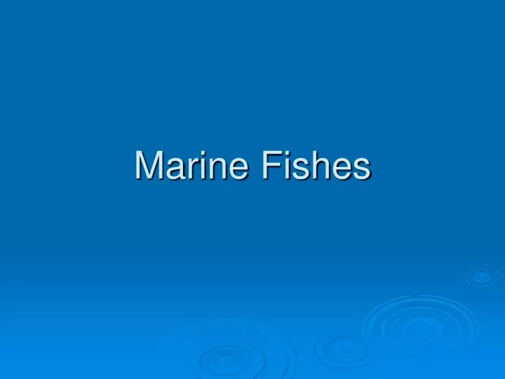 marine fishes