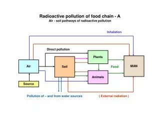 Radioactive pollution of food chain - Α Air - soil pathways of radioactive pollution