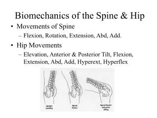 Biomechanics of the Spine &amp; Hip