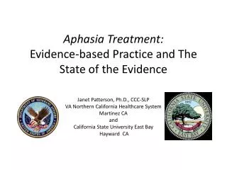 Aphasia Treatment: Evidence-based Practice and The State of the Evidence
