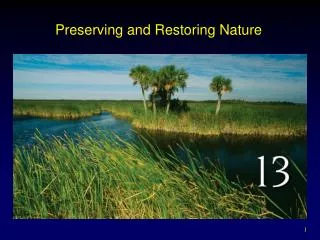 Preserving and Restoring Nature