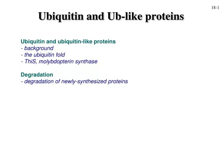 ubiquitin and ub like proteins