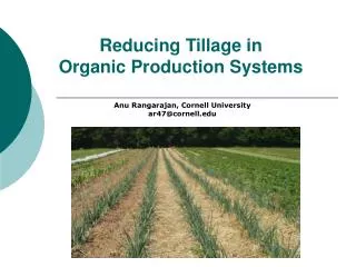 Reducing Tillage in Organic Production Systems