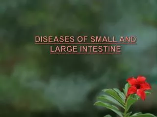 DISEASES OF SMALL AND LARGE INTESTINE