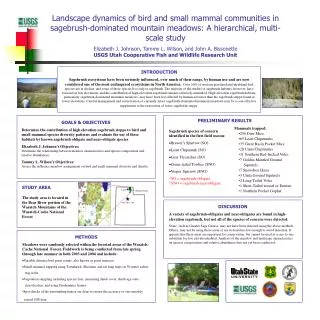 Landscape dynamics of bird and small mammal communities in sagebrush-dominated mountain meadows: A hierarchical, multi-s