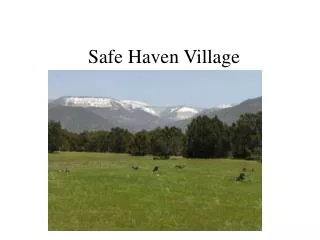 Safe Haven Village