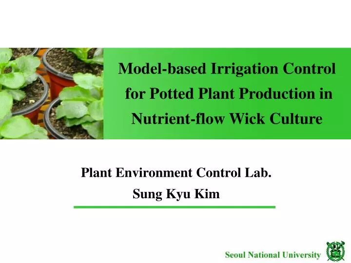 model based irrigation control for potted plant production in nutrient flow wick culture