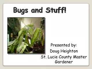 Bugs and Stuff!