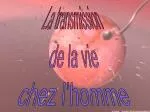 La transmission de la vie chez l’homme - slide 1