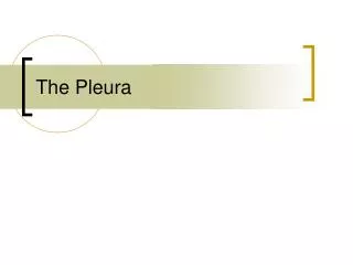 The Pleura