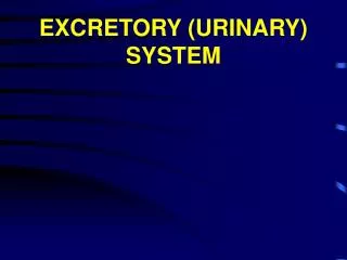 EXCRETORY (URINARY) SYSTEM
