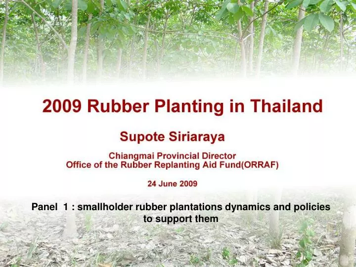 2009 rubber planting in thailand
