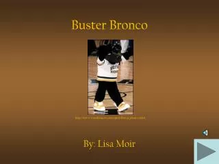 Buster Bronco